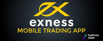 Exploring the Exness Forex Trading Broker A Comprehensive Guide